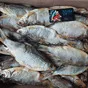 вяленая рыбка от производителя в Ростове-на-Дону 5
