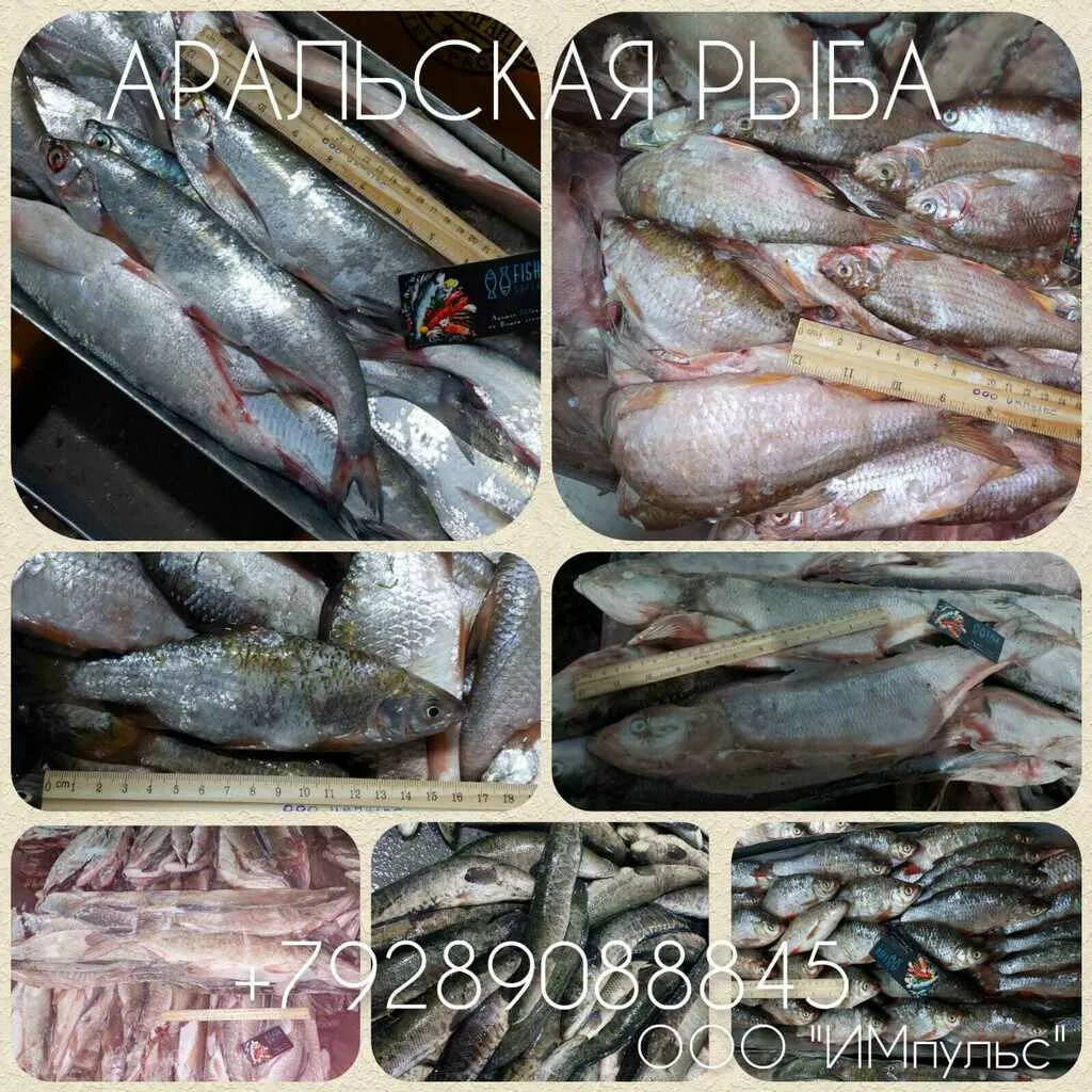 аральская рыба в ассортименте  в Ростове-на-Дону