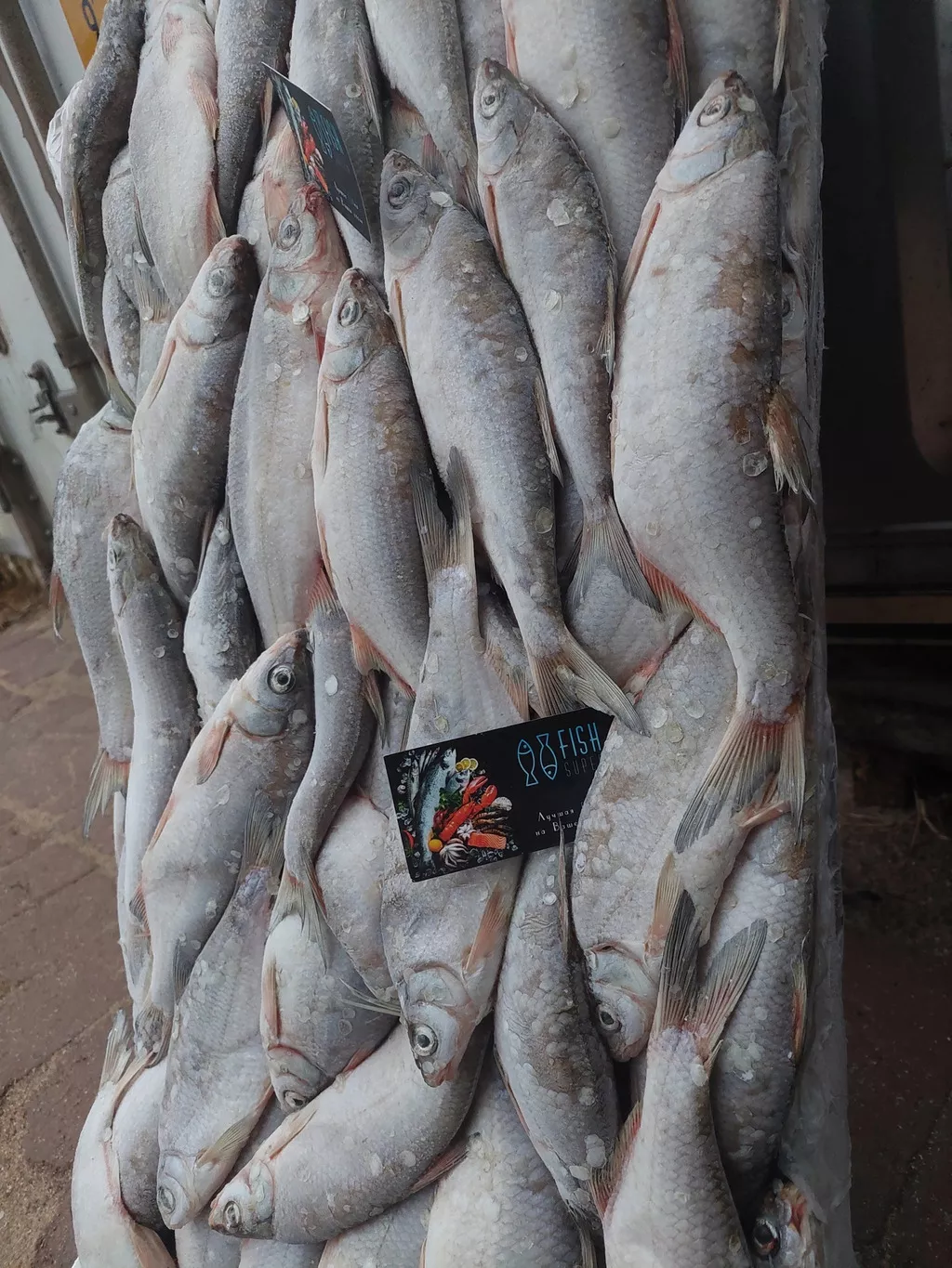 рыбец икряной серебристый средне-крупный в Ростове-на-Дону