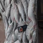 рыбец икряной серебристый средне-крупный в Ростове-на-Дону