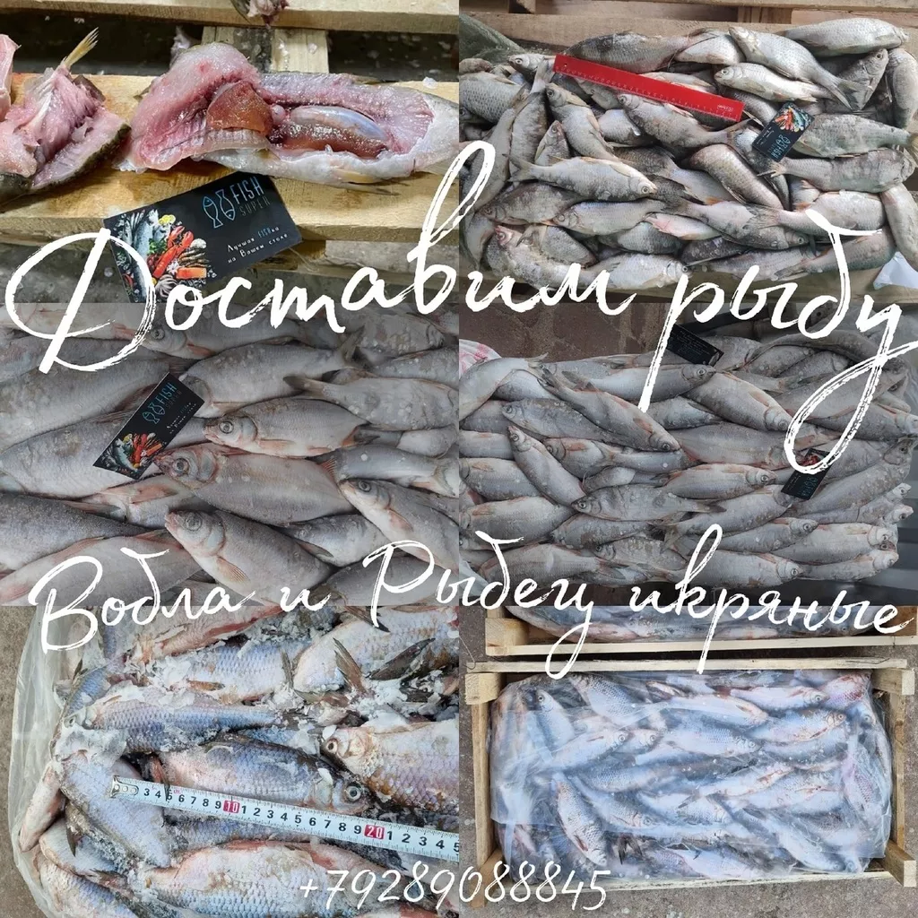 рыбу под заказ с самовывозом и доставкой в Ростове-на-Дону и Ростовской области