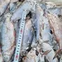 рыбу под заказ с самовывозом и доставкой в Ростове-на-Дону и Ростовской области 4