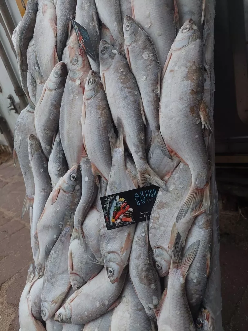 рыбца серебристого икряного в Ростове-на-Дону и Ростовской области