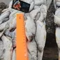 икряная вобла от 100 р/кг рнд в Ростове-на-Дону