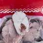 масляная рыба стейки в Ростове-на-Дону