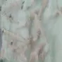 стерлядь альбинос в Ростове-на-Дону и Ростовской области