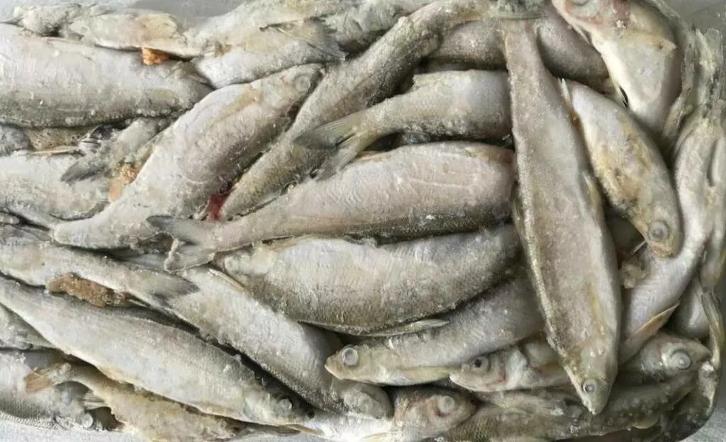 сибирская рыба для южных курортов в Ростове-на-Дону и Ростовской области