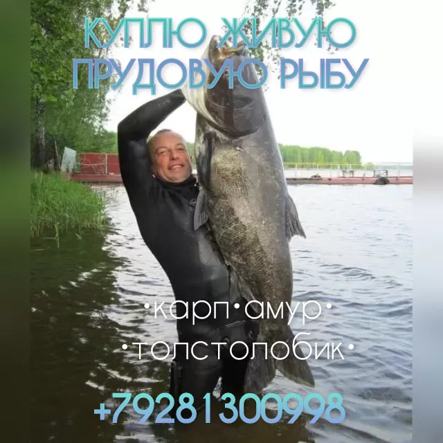  живую рыбу в объёме  в Ростове-на-Дону